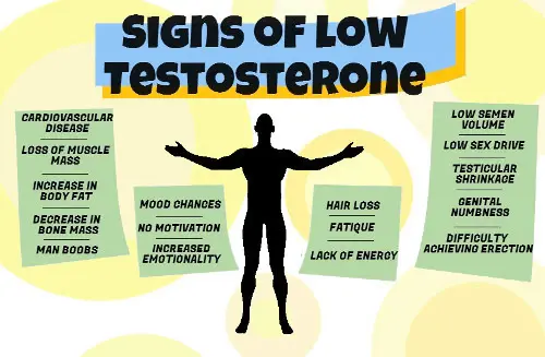 LOW TESTOSTERONE