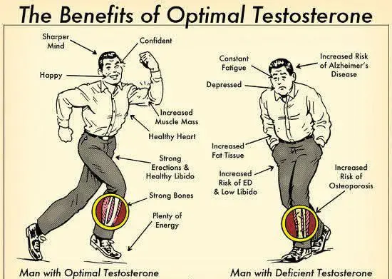 TESTOSTERONE BENEFITS